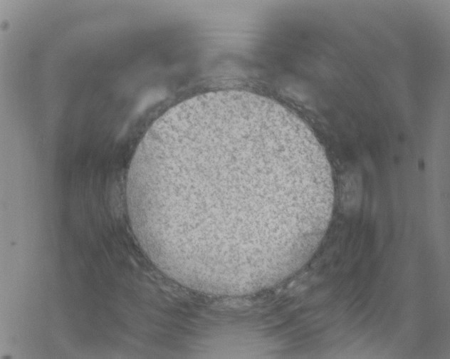 X0000067951446200605112113