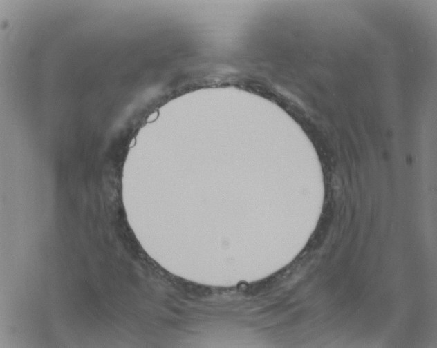 X0000067951447200605112113