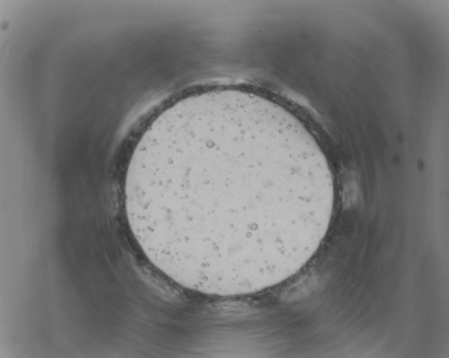 X0000067951448200605112113