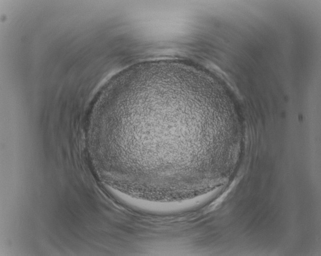 X0000067951449200605112113