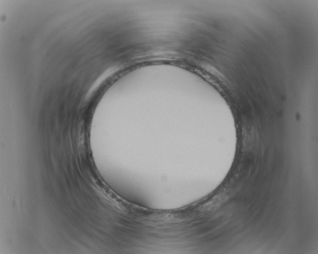 X0000067951450200605112113