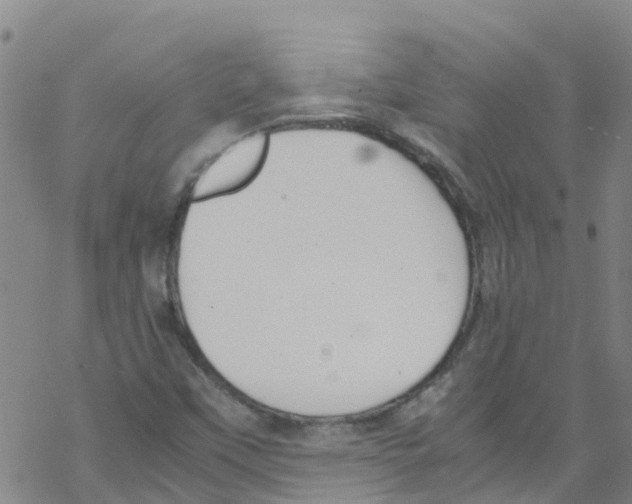 X0000067951451200605112113