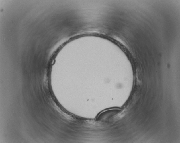 X0000067951452200605112113