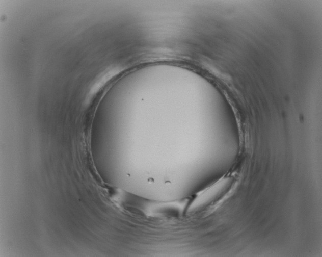 X0000067951453200605112113