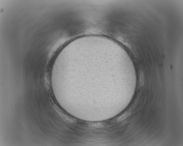 X0000067951454200605112113