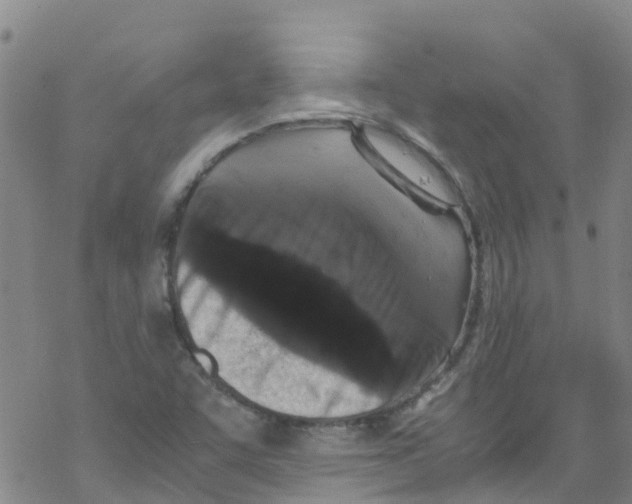 X0000067951455200605112113