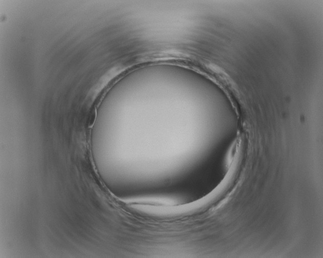 X0000067951457200605112113