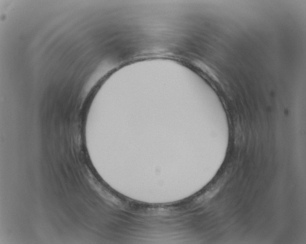 X0000067951458200605112113