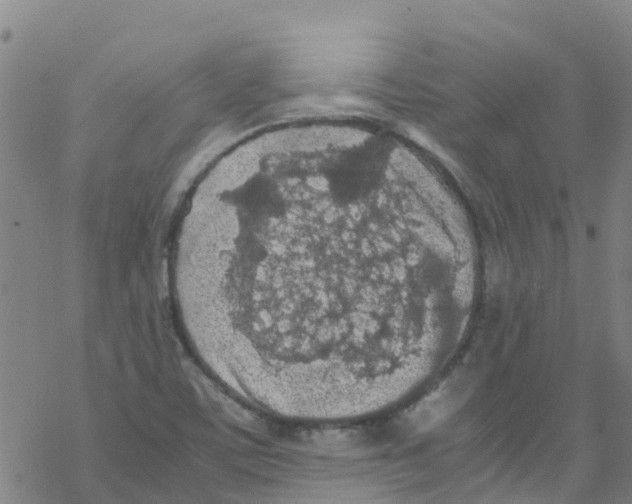 X0000067951459200605112113