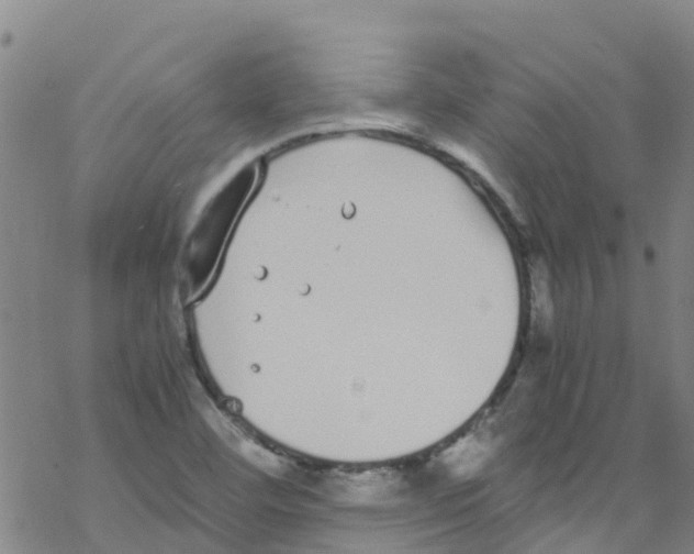 X0000067951460200605112113