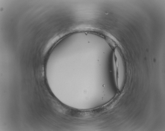 X0000067951461200605112113