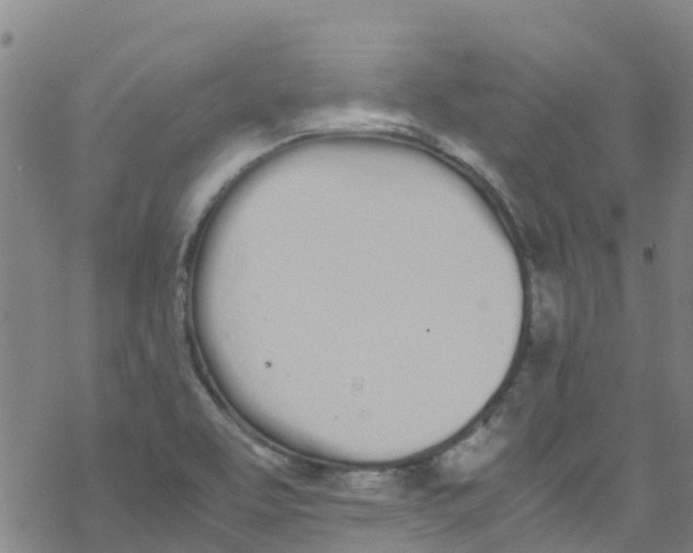 X0000067951463200605112113