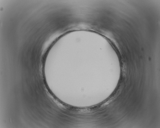 X0000067951464200605112113