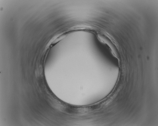 X0000067951465200605112113