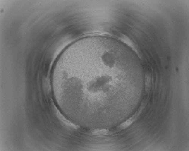 X0000067951466200605112113