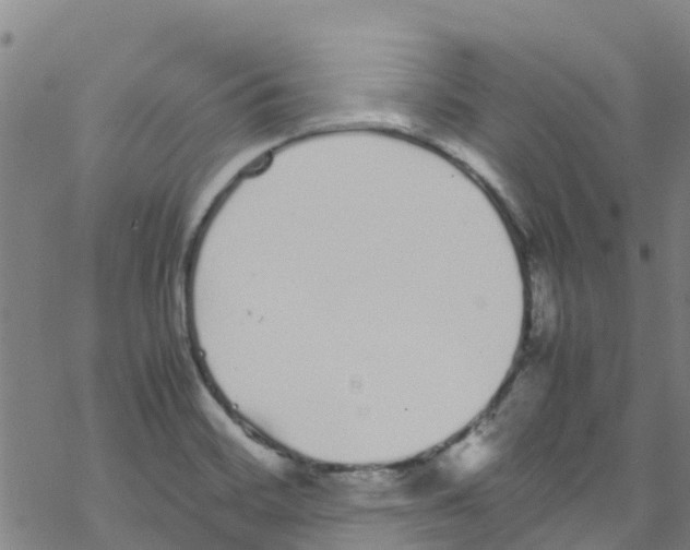 X0000067951468200605112113