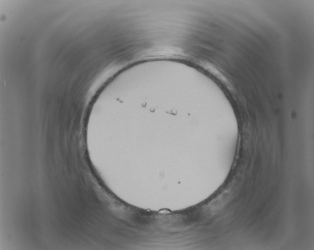 X0000067951469200605112113