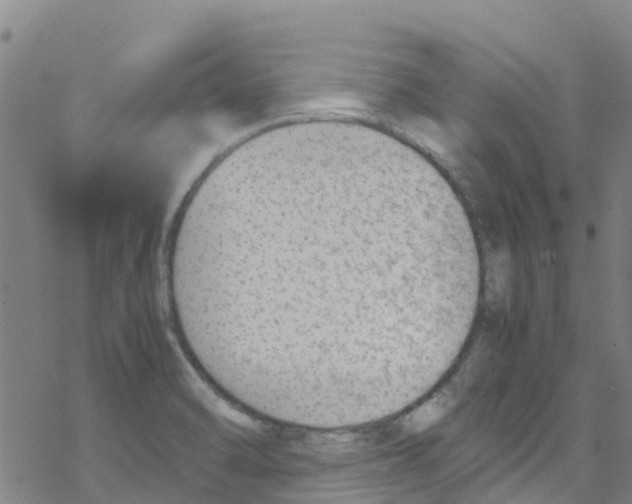 X0000067951470200605112113