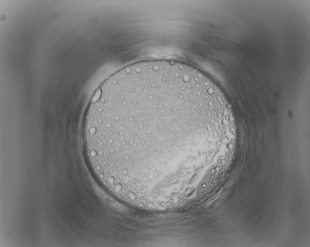 X0000067951471200605112113