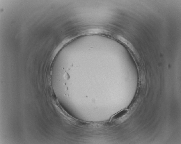 X0000067951473200605112113