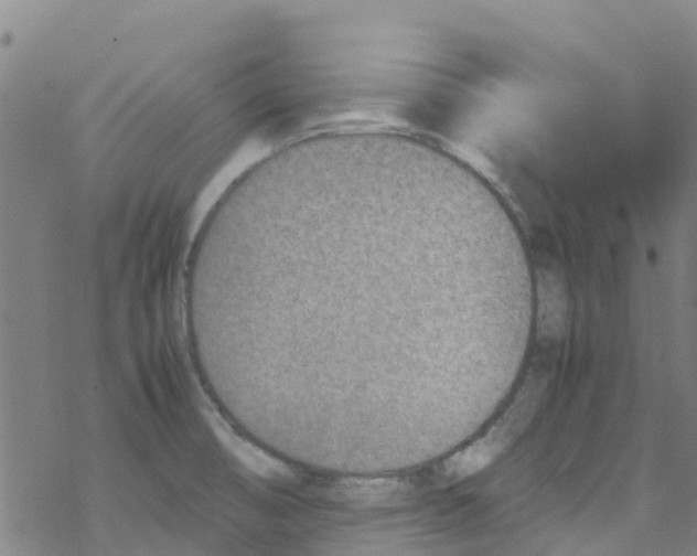 X0000067951474200605112113