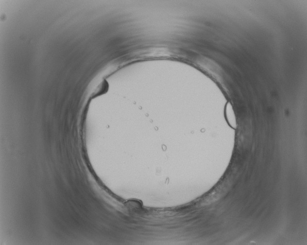 X0000067951475200605112113