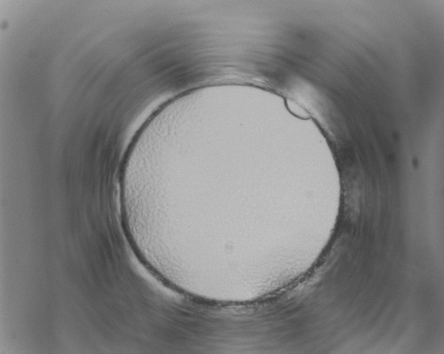 X0000067951476200605112113