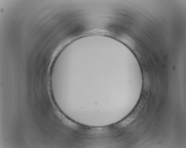 X0000067951478200605112112