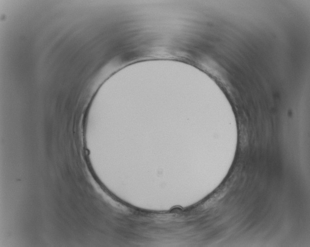 X0000067951479200605112112