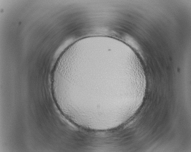 X0000067951480200605112112