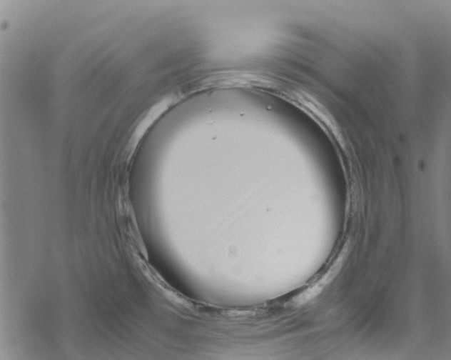 X0000067951481200605112112