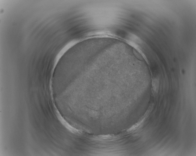 X0000067951482200605112112