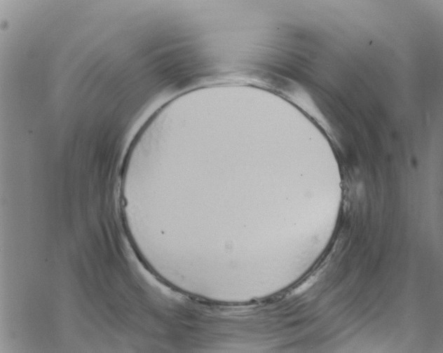 X0000067951484200605112112