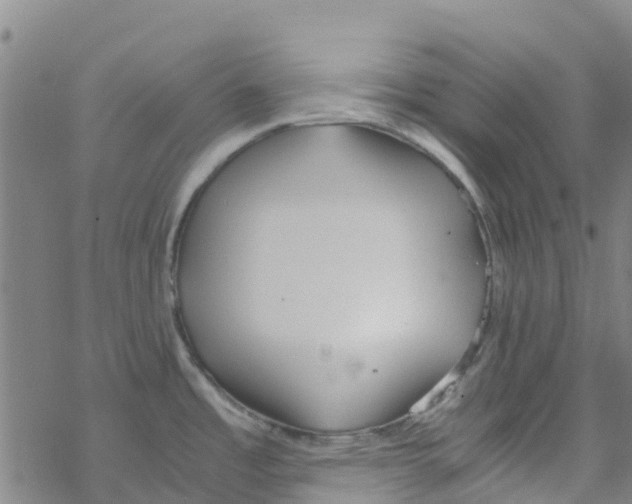 X0000067951485200605112112