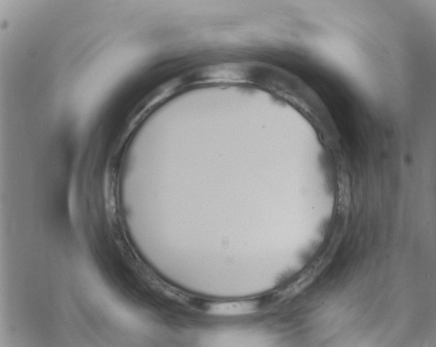 X0000067951487200605112112