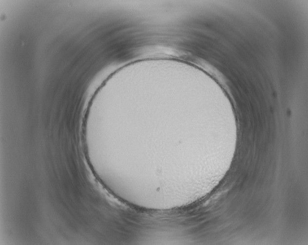 X0000067951488200605112112