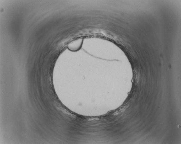 X0000067951489200605112112