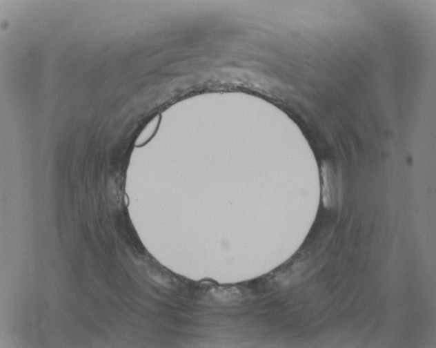 X0000067951491200605112112