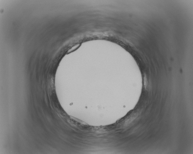 X0000067951492200605112112