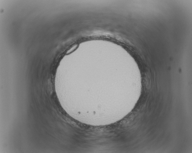 X0000067951493200605112112