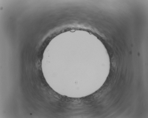 X0000067951495200605112112