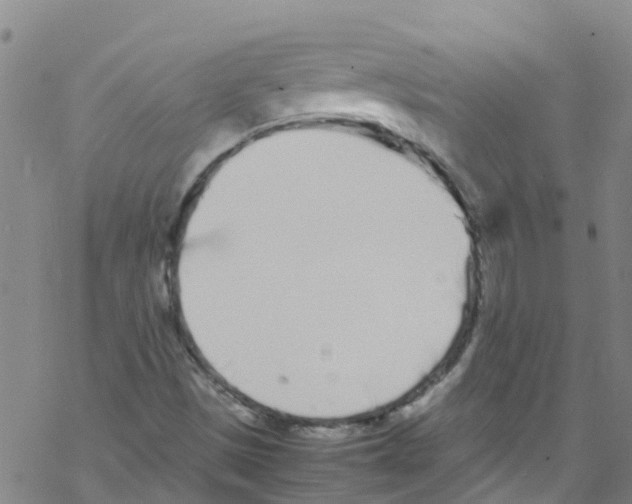 X0000067951497200605112112