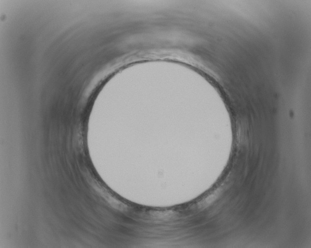 X0000067951498200605112112