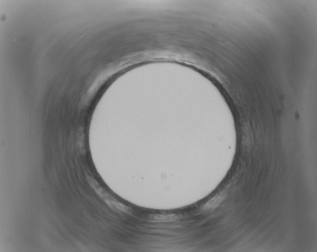 X0000067951499200605112112