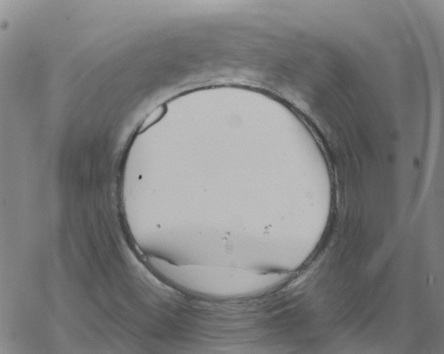 X0000067951500200605112112