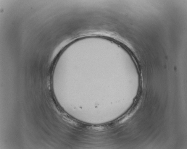 X0000067951501200605112112