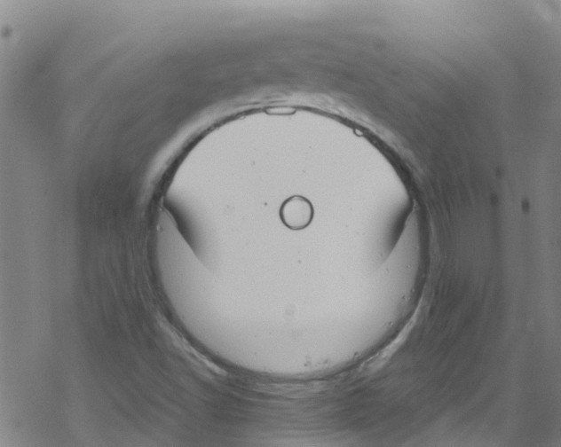 X0000067951502200605112112