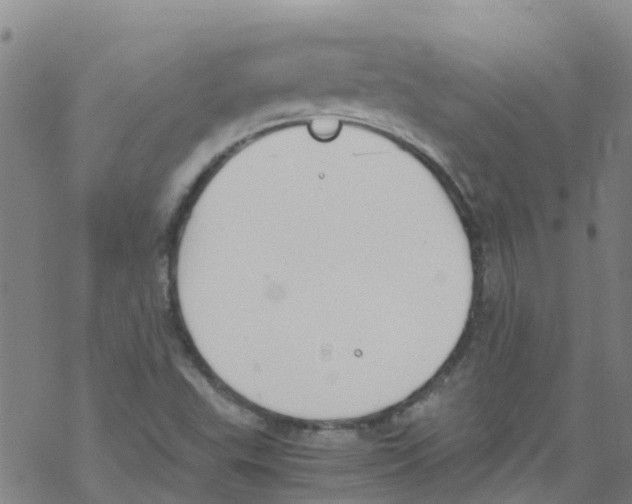 X0000067951503200605112112