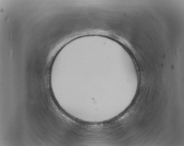 X0000067951504200605112112