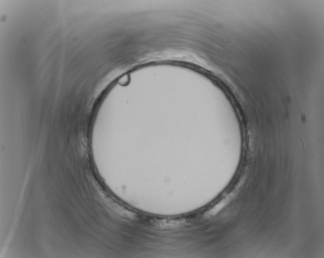 X0000067951505200605112112